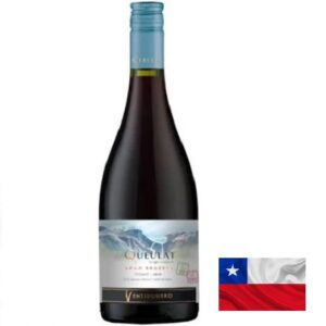 Vinho Chileno Queulat Pinot Nair Gran Reserva 750ml