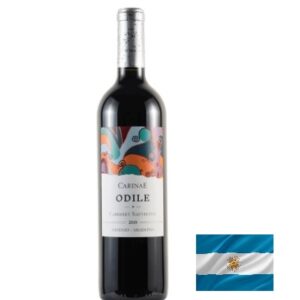Vinho tinto Argentino Odile Malbec Carinae 750ml