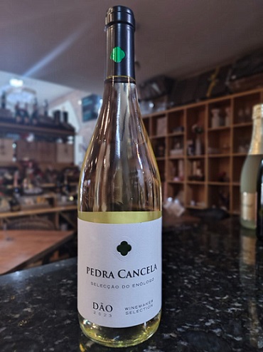 Vinho Branco português Pedra Cancela Seleção Enólogo 750ml - Imagem 2