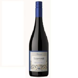 Vinho Tinto Terra Noble Pinot Noir Garrafa 750ml