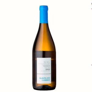 Vinho Quinta do Correio Dão Branco 750ml