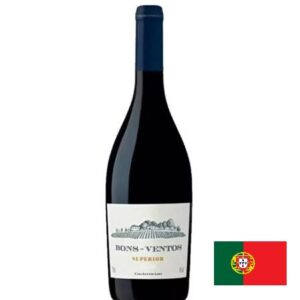 Vinho Tinto Bons Ventos Superior 2021 750ml