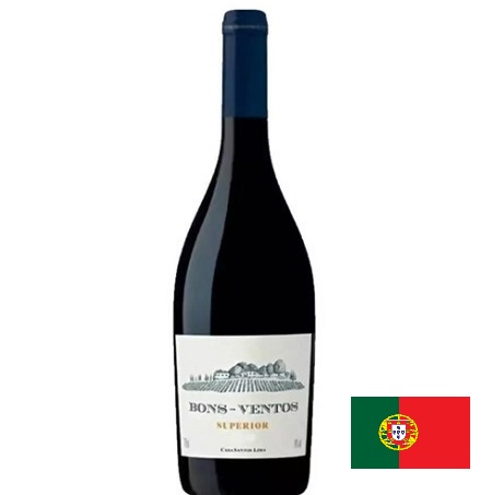 Vinho Tinto Bons Ventos Superior 2021 750ml