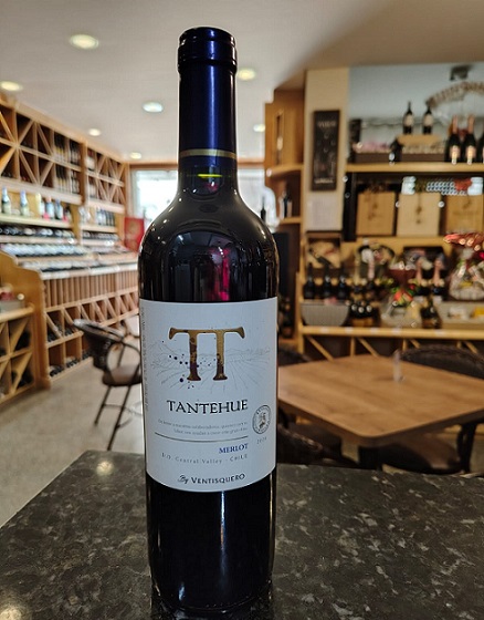 Vinho Tinto Chileno Tantehue Merlot 750ml - Imagem 2